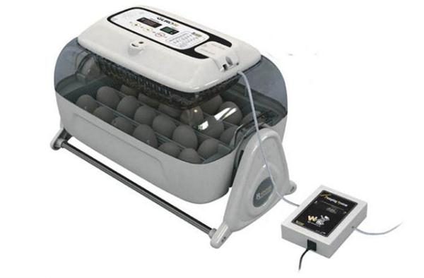  incubadora automática