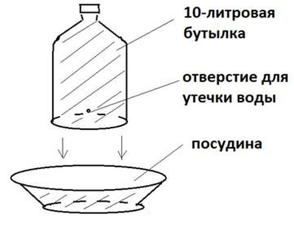  2 version of the vacuum drinker