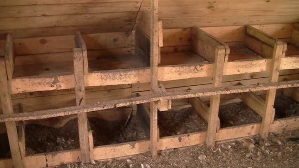 photo chicken coop