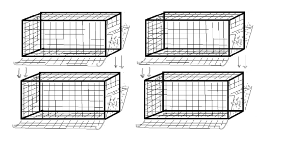 plan de dos filas de celdas