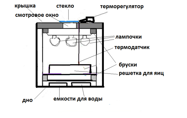  Incubator Diagram