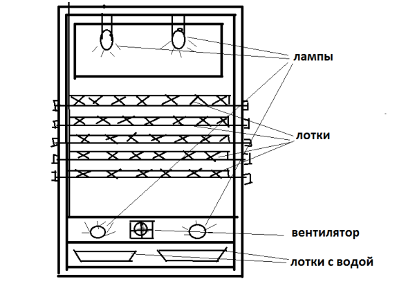 Scheme of the incubator from the refrigerator