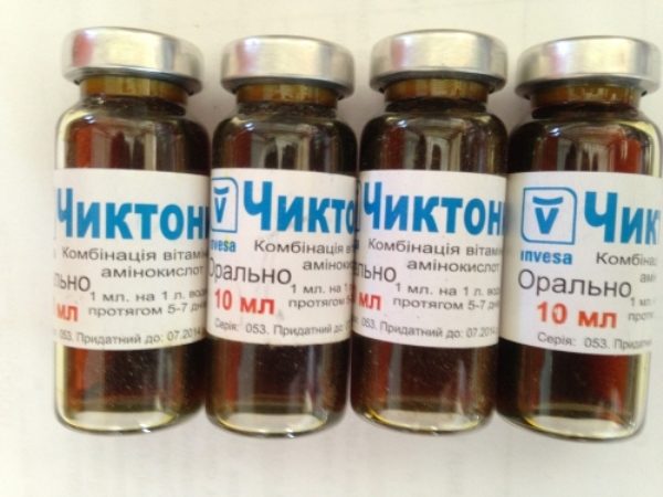  Ampollas de chiktonik