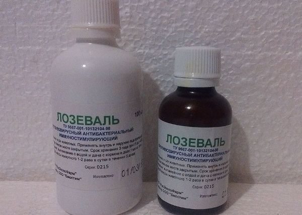  Lozeval 100 mgs e 50 mgs