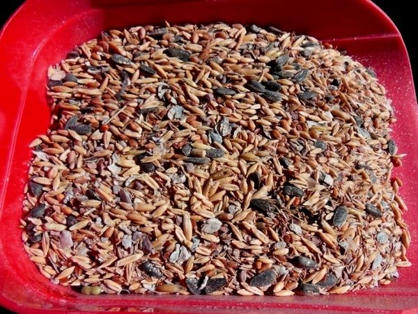  Feed Mix For Layers