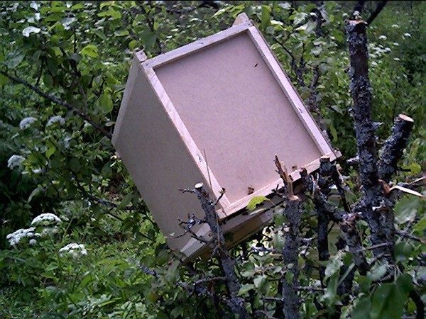  Ready bee trap