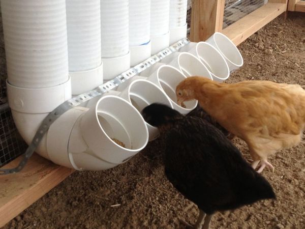  Chicken feeder
