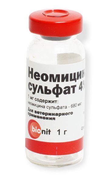  Neomicina