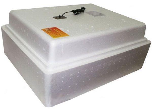  incubator layer