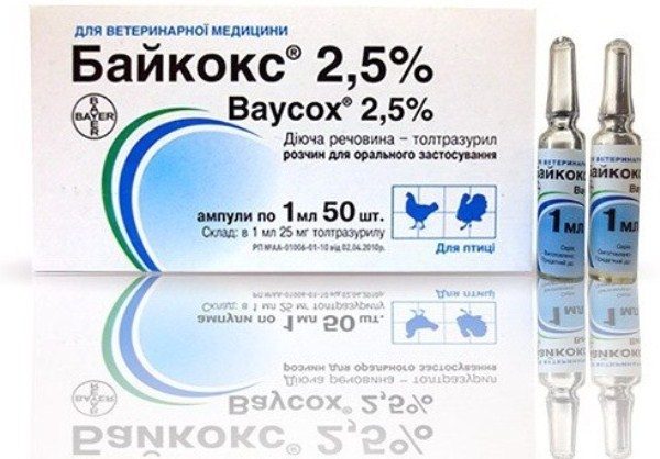  Baycox in ampolle