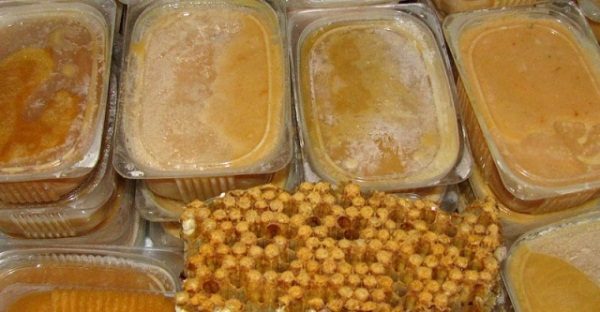 Trutnev homogenate in plastic cans