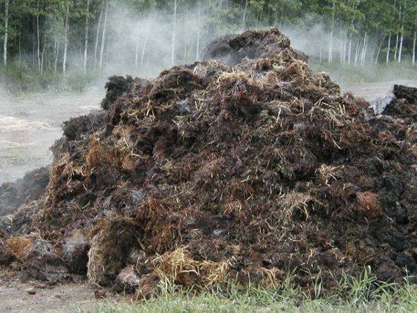  Camada de basura