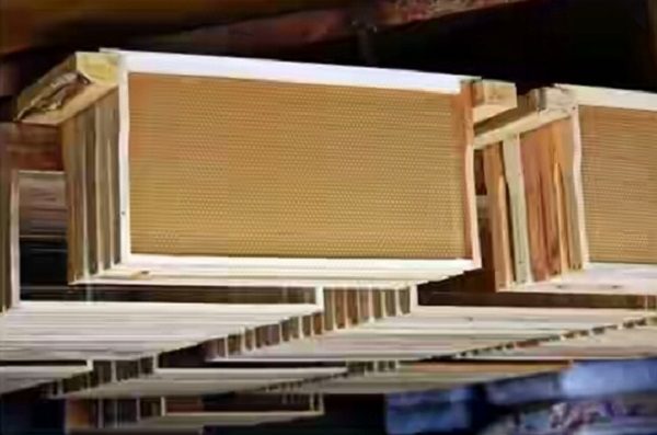 What are the framework for the hive