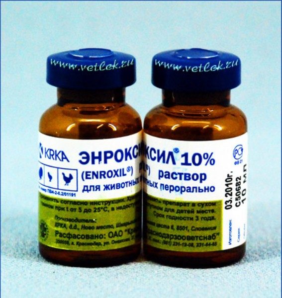  Enroksil para animais