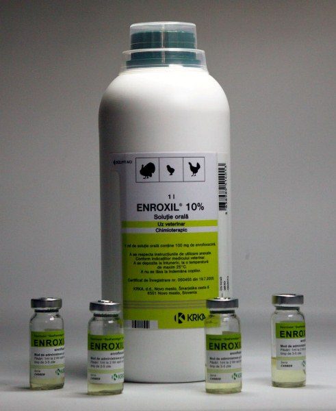  Enroxil 10% em frasco e ampolas