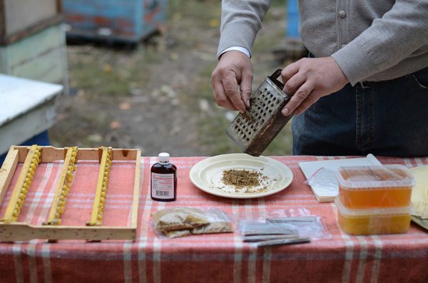  How to prepare propolis tincture