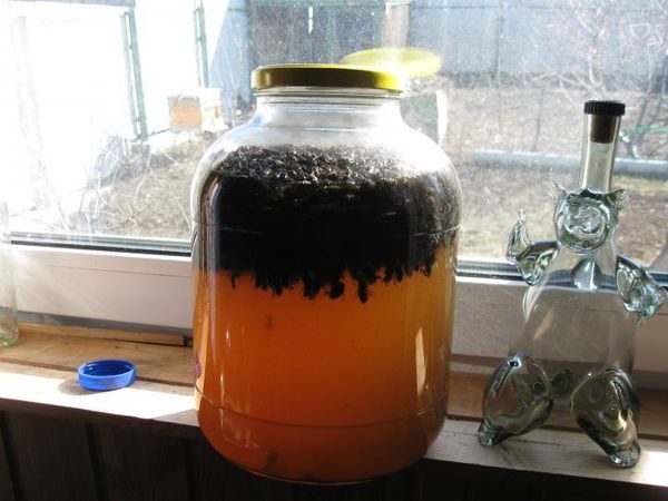  decoction