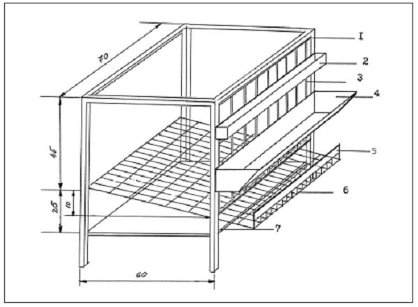  quail cell layout