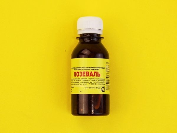  Lozeval em uma garrafa