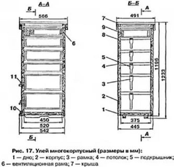  Multicase hive