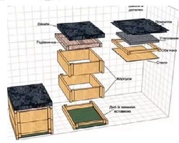  Multicase hive