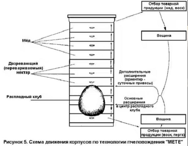  The scheme of movement of buildings on the technology of beekeeping METE