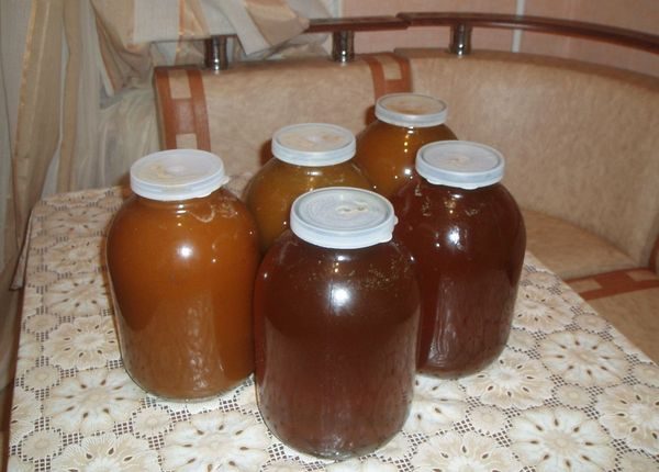  honey varieties