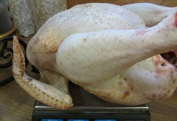  turkey carcass