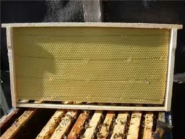  Frame beehives