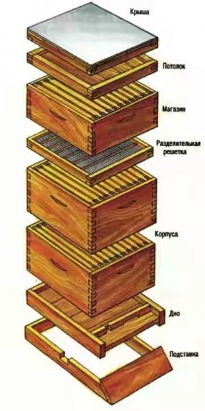  Classic hive design