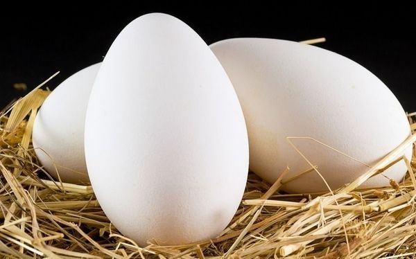  egg linda