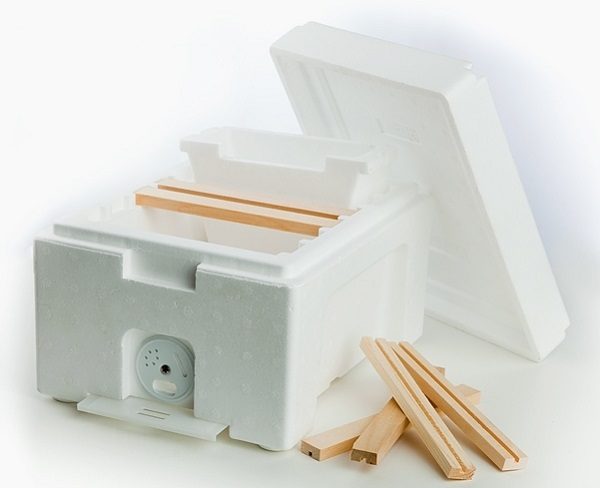  expanded polystyrene warrior