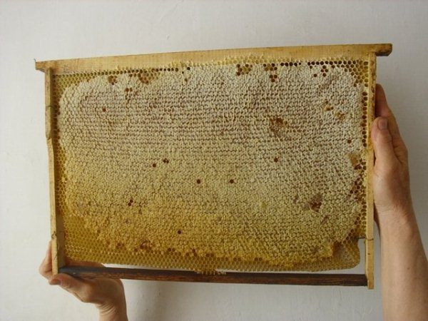  Frame with printed honey