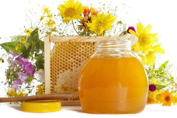  Honey grass