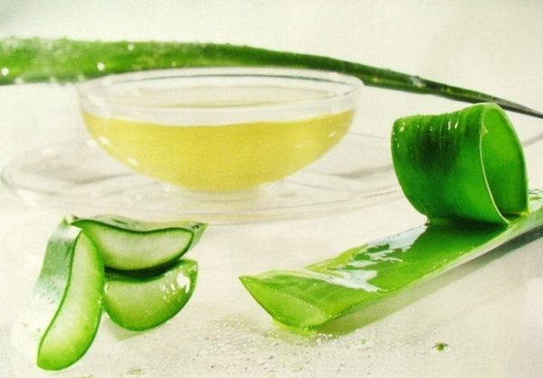 medicina per la tosse con aloe