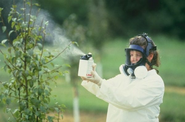  Chemical Treatment of Plants