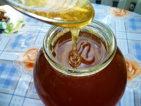  Miel de montaña en un tarro de cristal
