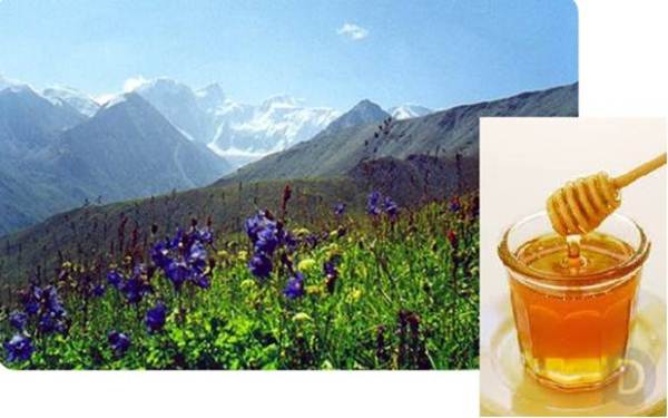  Mountain honey