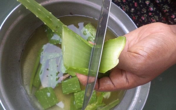  Preparazione di aloe con miele per il trattamento della bronchite