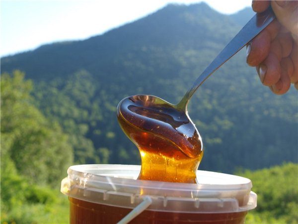  Miel de montaña