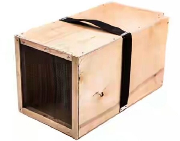  plywood swarm