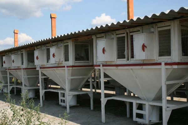  Mikhailov system
