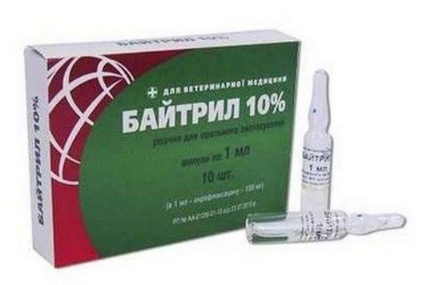  Baytril 10% in ampoules