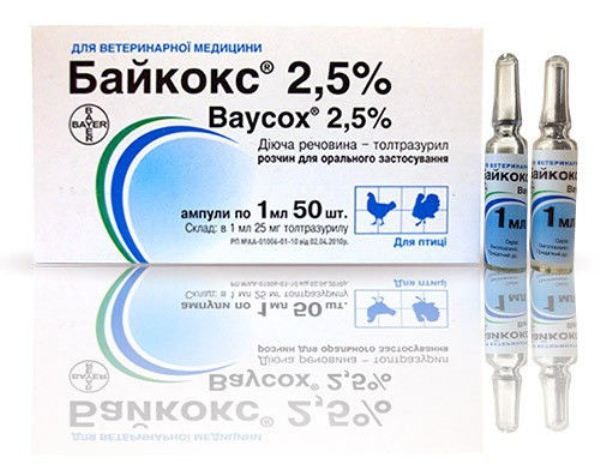  Baykoks 2,5% in ampoules 1 ml