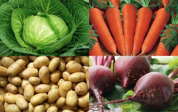  Cabbage, carrots, potatoes, beets