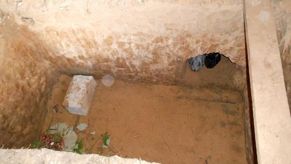  Hole for rabbits with burrow