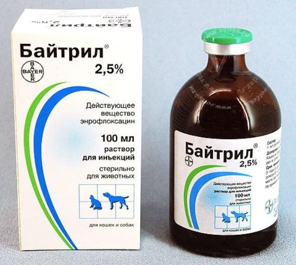  Baytril 2.5%