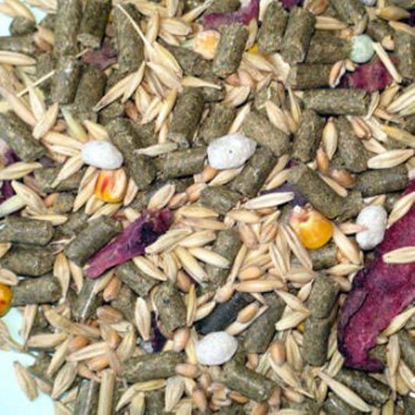 Comida de conejo
