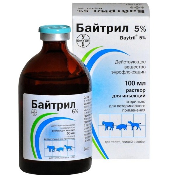  5% Baytril solution