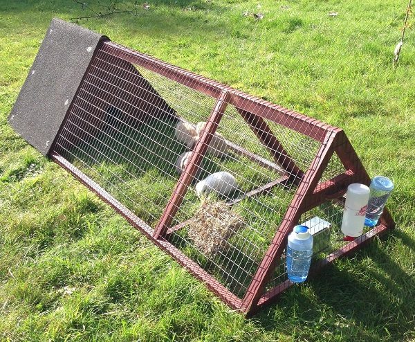  Device for feeding and keeping rabbits